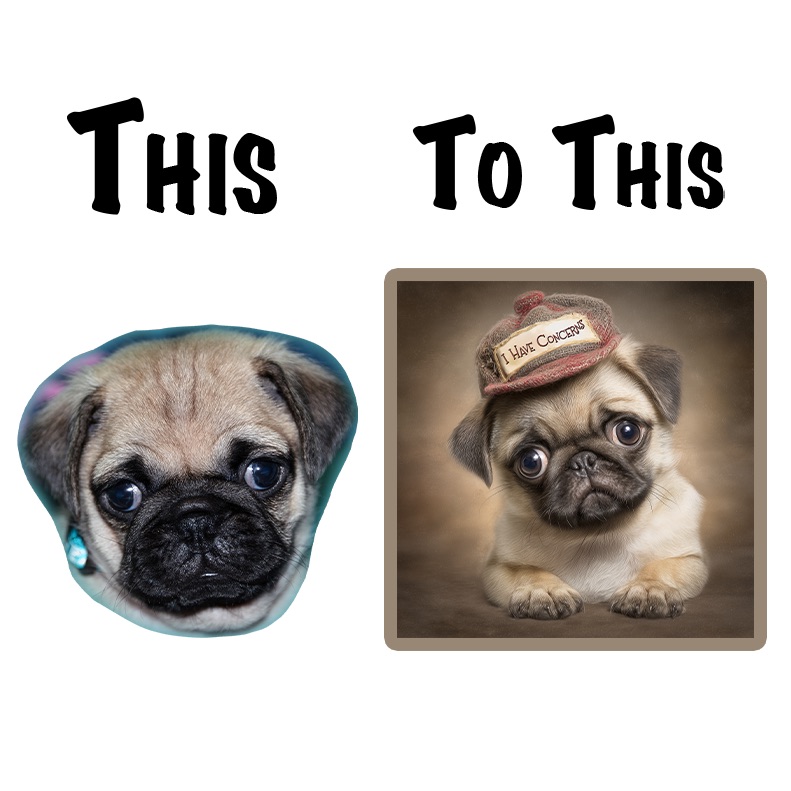Pug Vintage